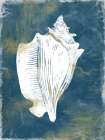 Ocean Miracles 4 Art Print