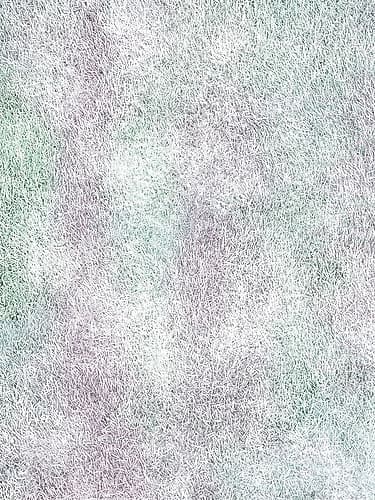Pretty Lawn Landscape Print