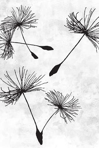 Dandelion Flight 2 Art Print