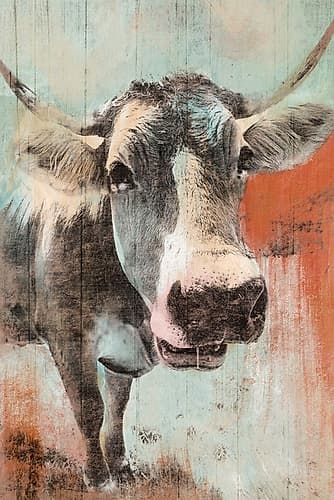 Barnyard Stare Art Print