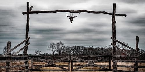Cattle Ranch Landscape Print