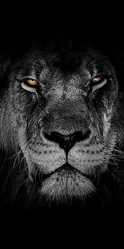Powerful Resilience 2 Animaux reproduction
