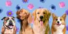 Dog Friends Art Print