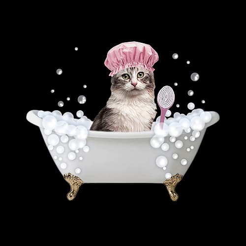 Fun Kitty Bath 3 Animaux reproduction
