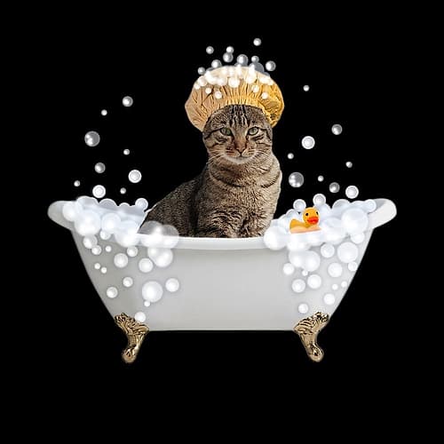 Fun Kitty Bath 4 Art Print
