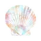 Brilliant Shells 1 Art Print