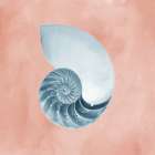 Miracles Of Delight 3 Art Print
