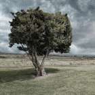 Bountiful Moment 1 Art Print