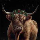 Holly Cow Art Print