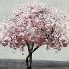 Western Night Art Print