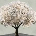 Spring Balance 1 Art Print