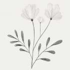 Floral Discovery 1 Art Print