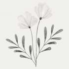 Floral Discovery 2 Art Print