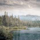 Wilderness Wonders 3 Art Print