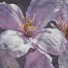 Lavender Explosion 1 Art Print