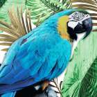 Tropical Views 2 Art Print