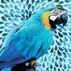 Tropical Views Art Print