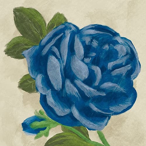 Cultured Beauty 1 Watercolor Print