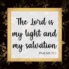 Lords Salvation Art Print