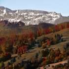 Rolling Autumn Hills Art Print