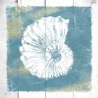 Coastal Embrace 5 Art Print