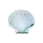 Seaside Shell 1 Art Print