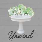 Unwind Succulent Bathroom Art Print