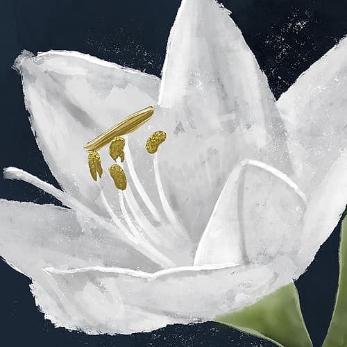 Lilly Energy Minimalist Print