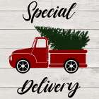 Special Delivery Classic Art Print