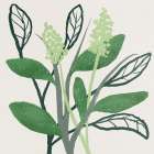 Intertwined Foliage 2 Art Print