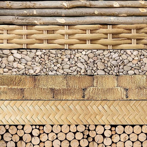 Heartwood 1 Leisure Print