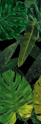 Green Palms Black Nature Print