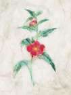 Water Flower Art Print