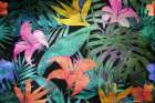 Color In The Forest Art Print