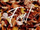 Fall Art Print
