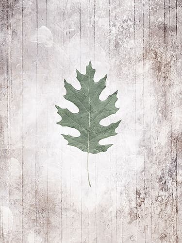 Washed Leaf Nature Print