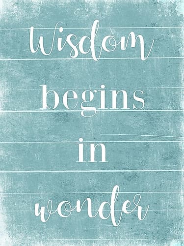 Wisdom Inspirational Print