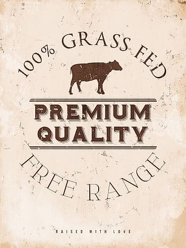 Premium Quality Cow Art Print