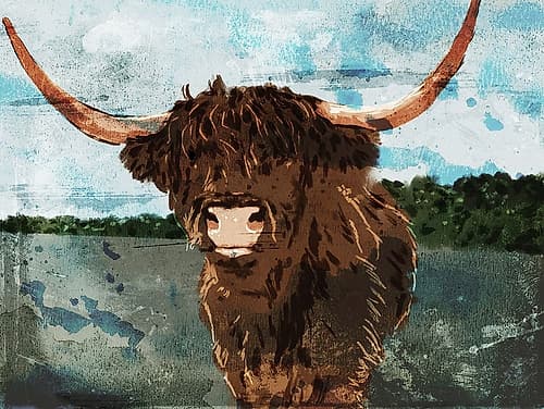 Hi Bull Art Print