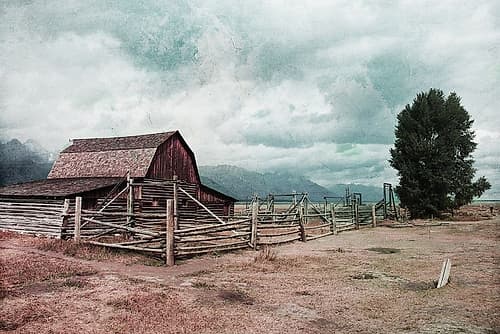 Looking At Farm Art Print
