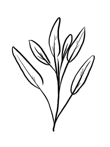 Simple Flowers 2 Art Print