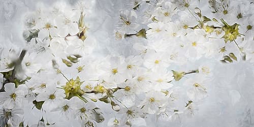 More White Flowers In Grey Art Print