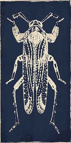Bug Life Blue Four Art Print