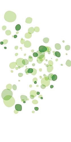 Turtle Spots Art Print