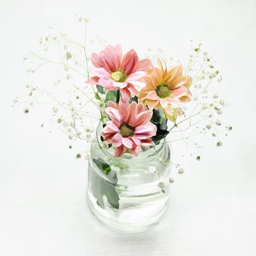 Flowers In A Jar Art Print