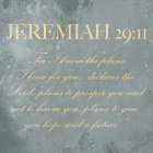 Jeremiah 29:11 Art Print