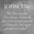 John 3:16 Art Print