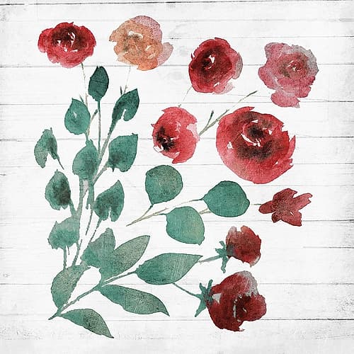 White Wash Flower 2 Art Print