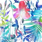 Colorful Arrangement Mate Art Print