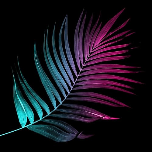 Neon Palms Three Nature Print